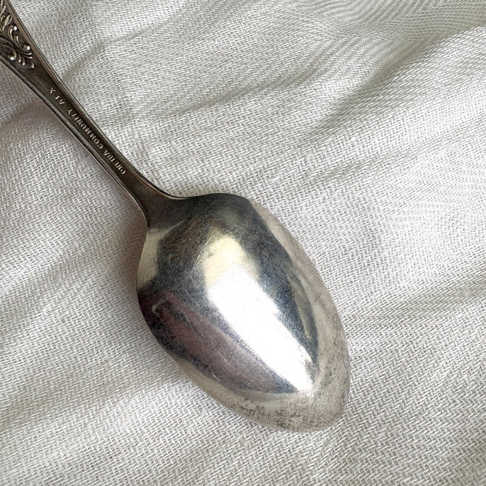 California state seal spoon by Oneida Community - A1 X - NextStage Vintage