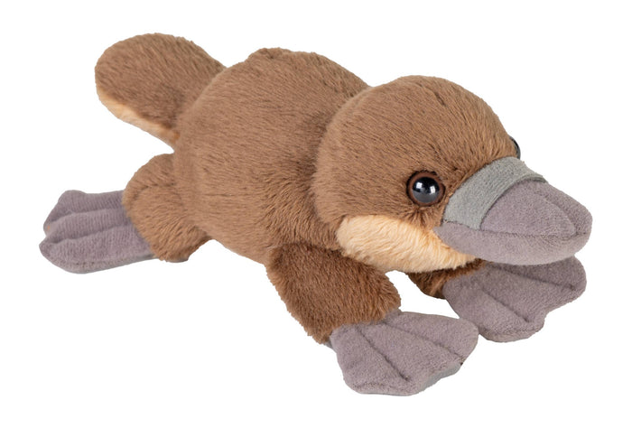Wild Republic - Pocketkins-ECO-Platypus Stuffed Animal 5"
