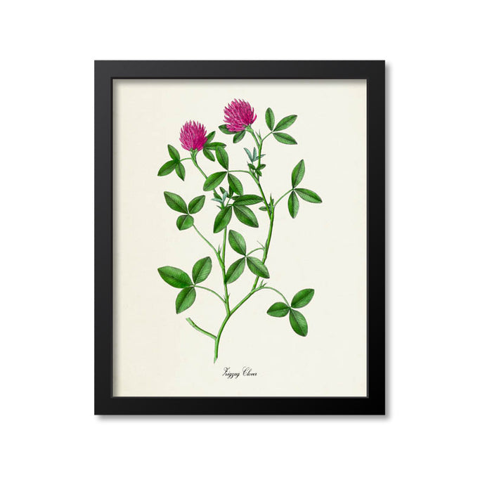 Zigzag Clover Flower Art Print