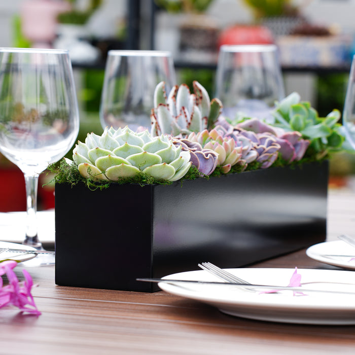 16" Succulent Centerpiece Table Decor, Black