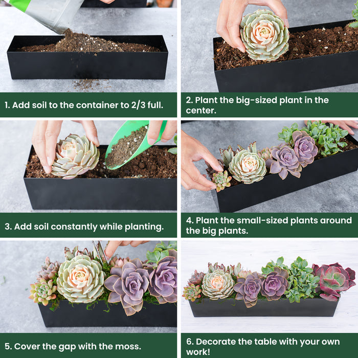 16" Succulent Centerpiece Table Decor, Black