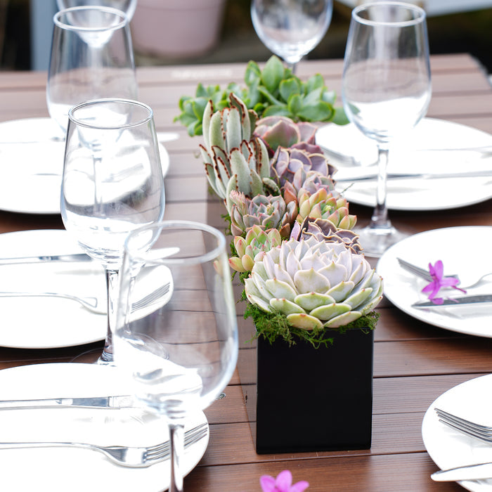 16" Succulent Centerpiece Table Decor, Black