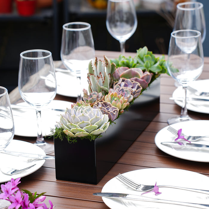 16" Succulent Centerpiece Table Decor, Black