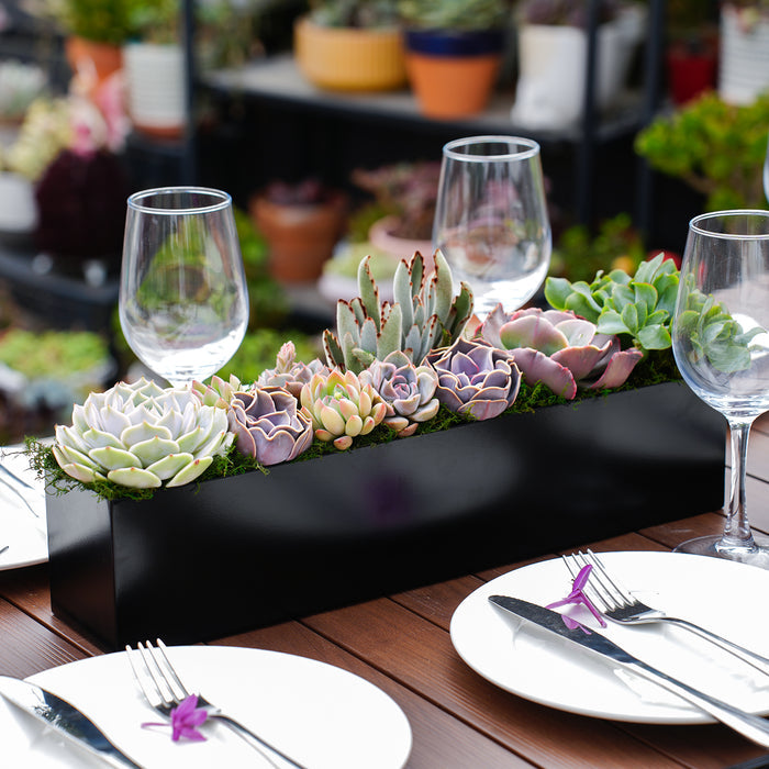 16" Succulent Centerpiece Table Decor, Black