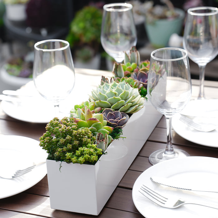16" Succulent Centerpiece Table Decor, White