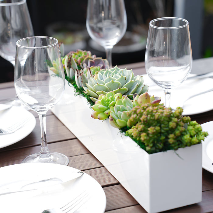 16" Succulent Centerpiece Table Decor, White