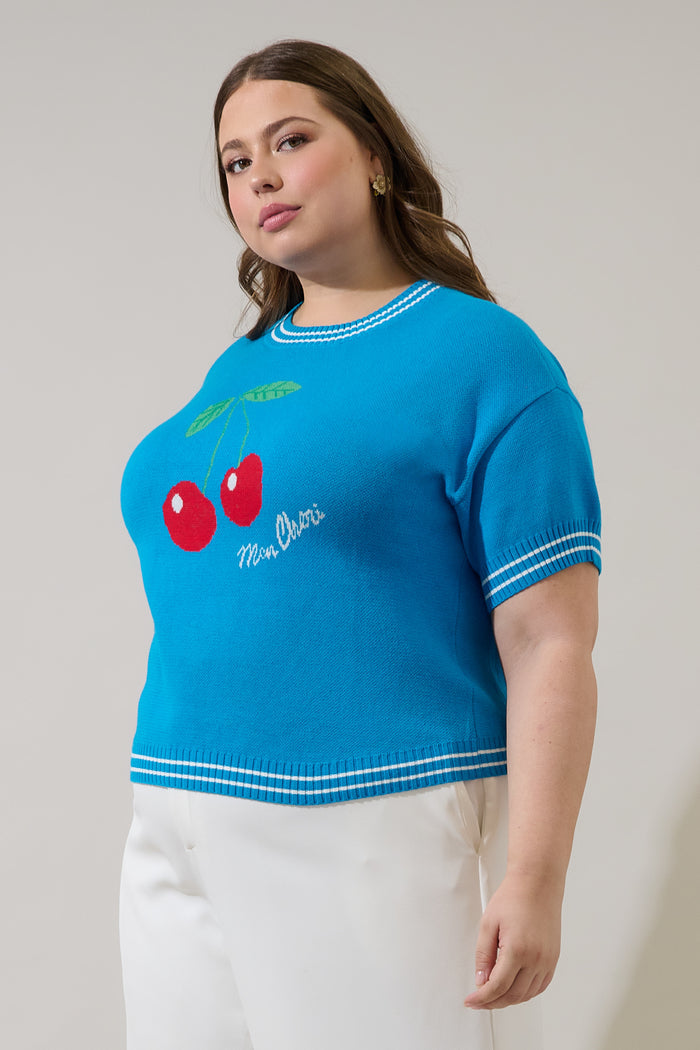 Brissy Cherry Drop Shoulder Sweater Top Curve