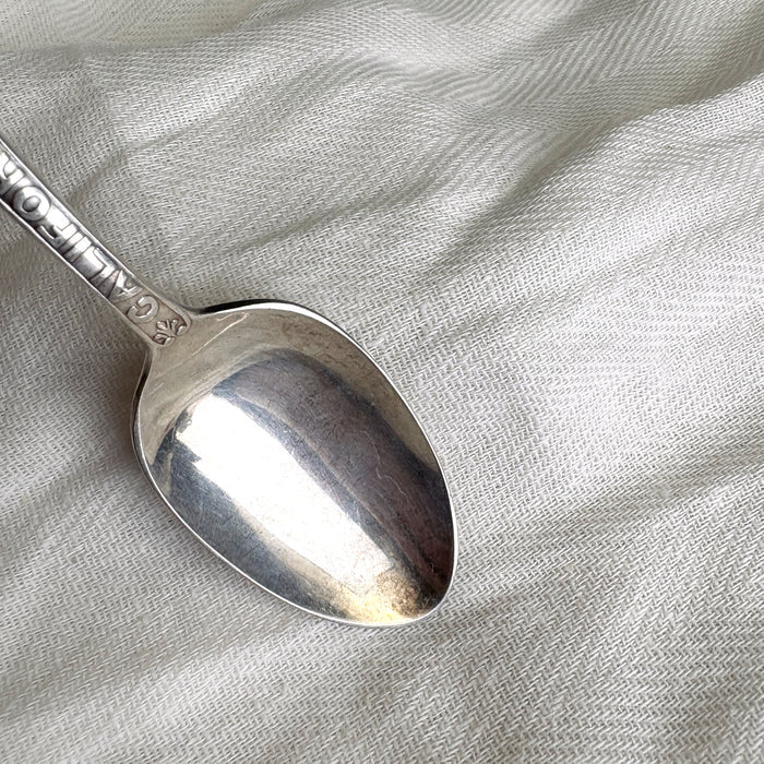 California state seal spoon by Oneida Community - A1 X - NextStage Vintage