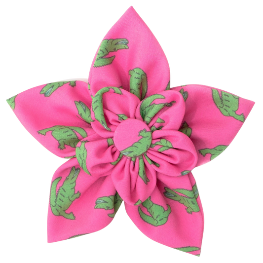 DOG-COLLAR-SLIDER-FLOWER-ALLIGATORS-PINK-LIME