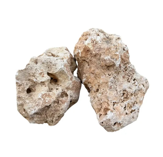 Two irregularly shaped porous hole stones in beige and light brown for decorative and landscaping use