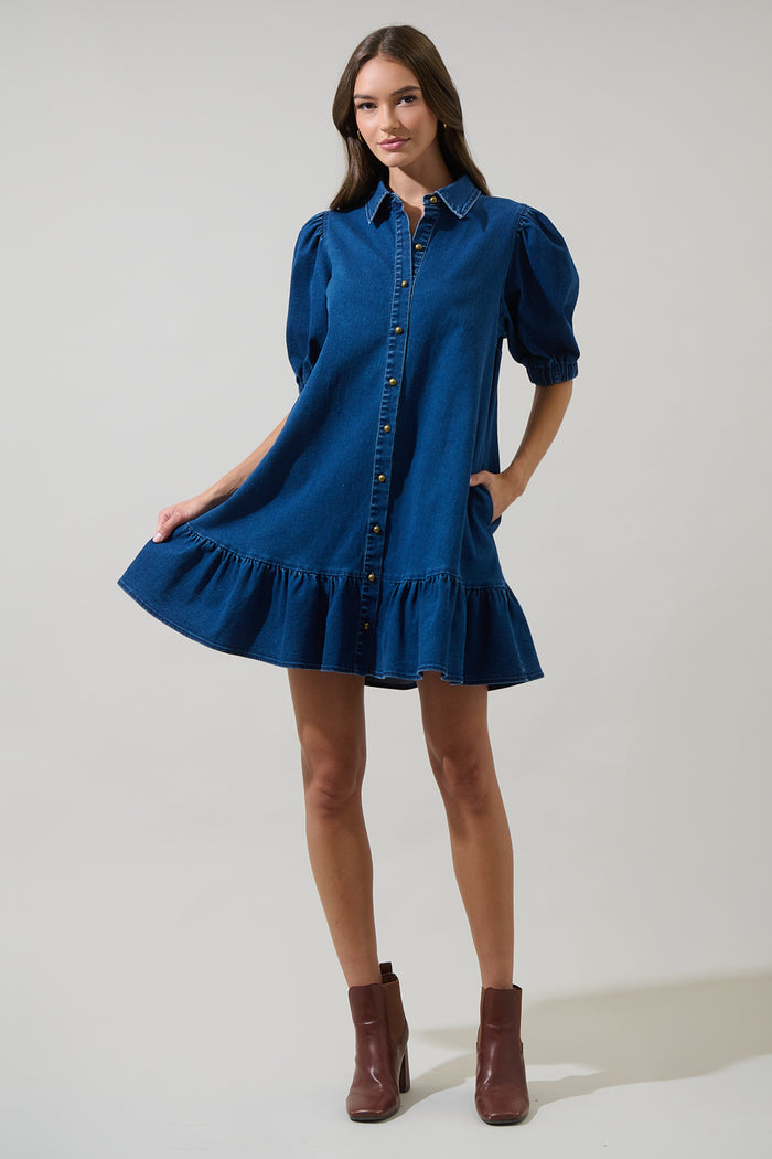 Jamie Denim Levy Button Down Shift Dress
