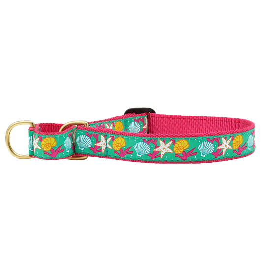 REEF-DOG-COLLAR-MARTINGALE-NO-PULL