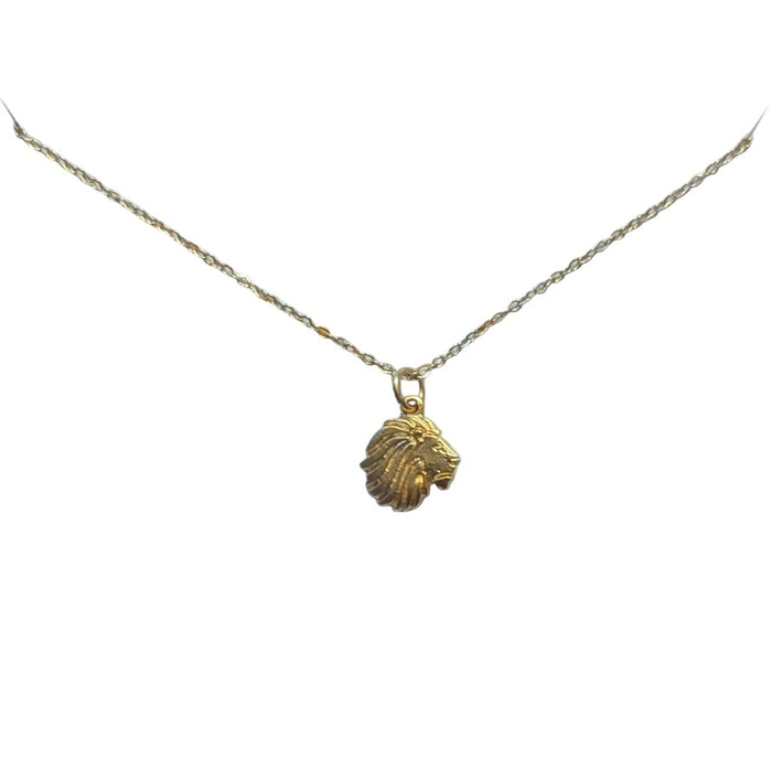Show off your spirit with the Mascot&nbsp; Sorority/Greek Necklace! Crafted with a 22k-yellow gold plate and featuring a lobster claw closure, this stunning accessory is perfect for a special gift. Let your Sorority pride and honor shine with the Phoebe necklace!

16" - 18" in length
