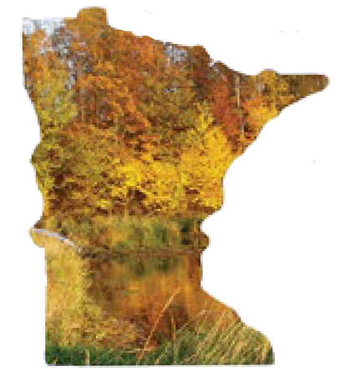 MN, Fall Colors, Pin #6013