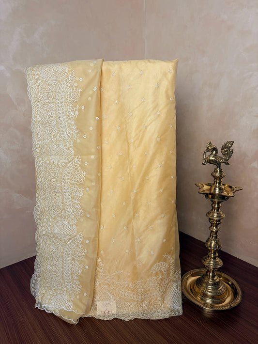 Organza Kurthi Set