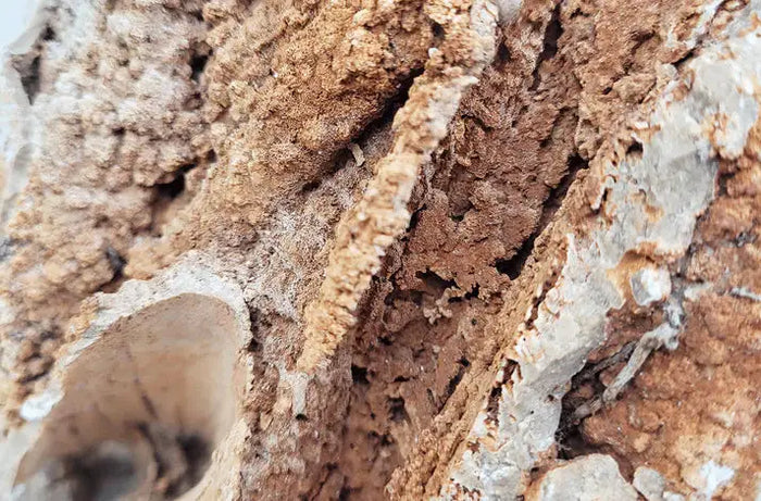 Paleorock Stone — brown-gray layered porous rock with rough texture