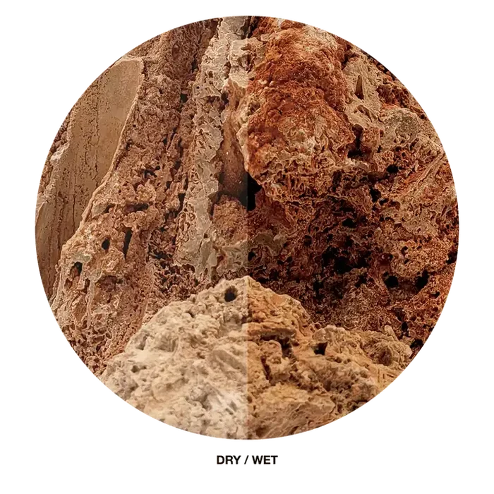 Paleorock stone circular cross-section porous textured rock showing distinct dry and wet areas