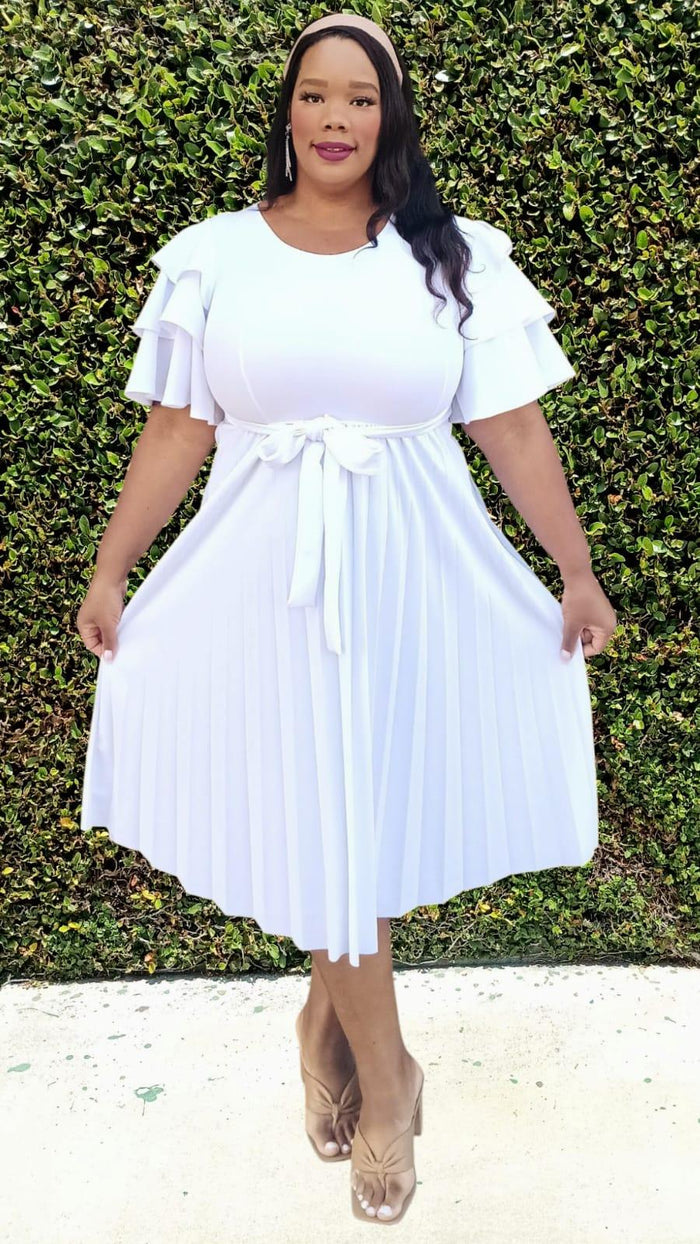 Plus Size double Ruffled Sleeves Pleated Flare Midi Dresses