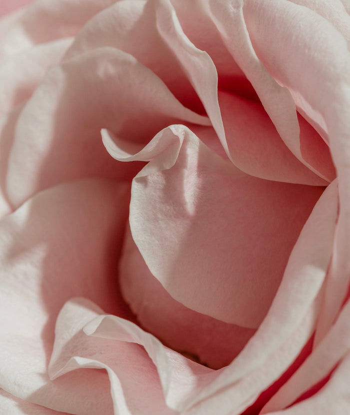 Rose Chocolat Hair & Body Perfume Mist