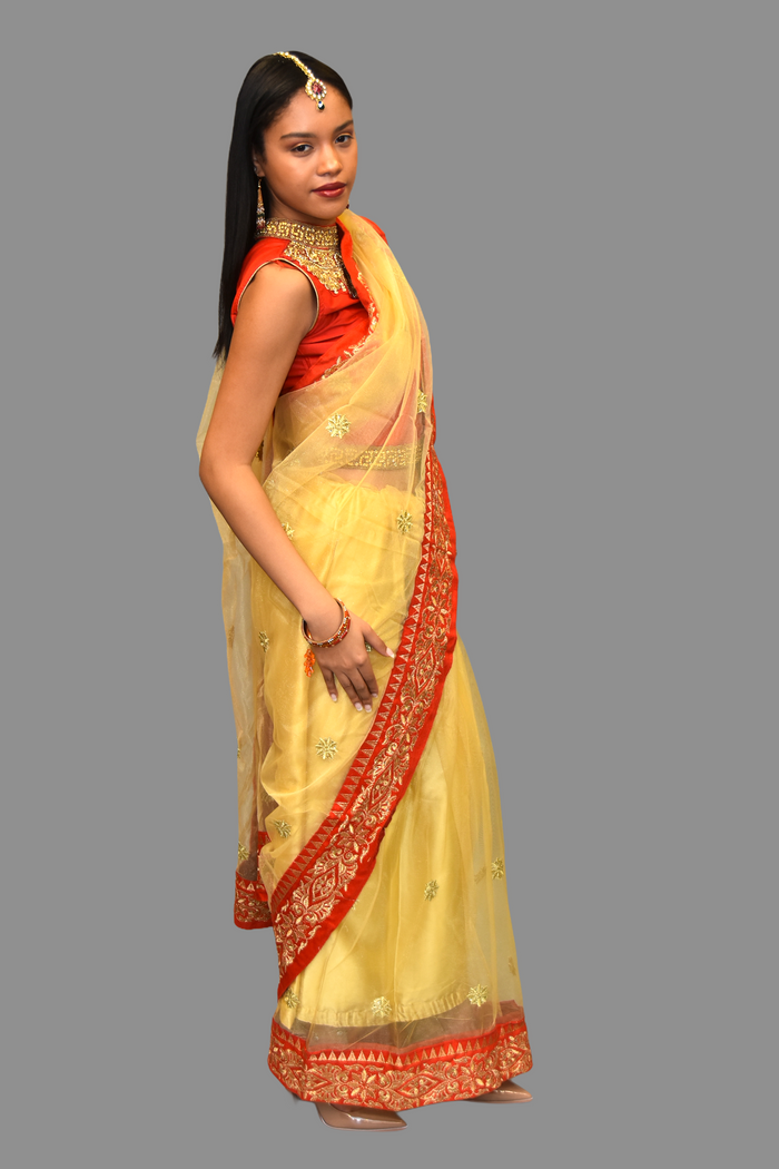 Silk Net Gold Embroidered With Contrast Red Border Saree