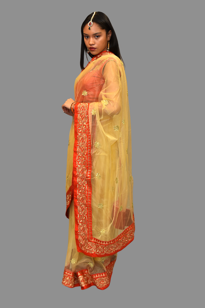 Silk Net Gold Embroidered With Contrast Red Border Saree