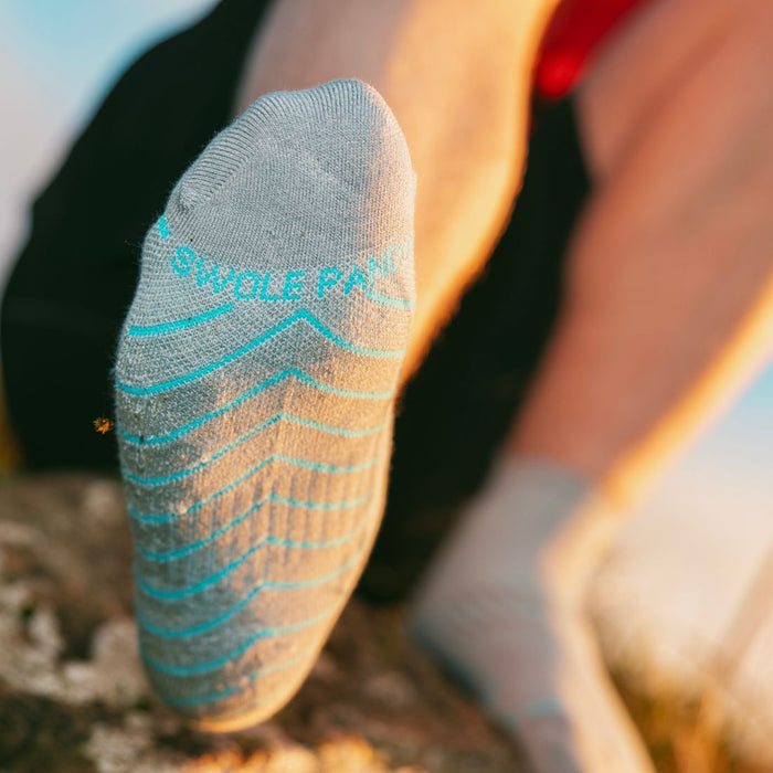 Performance Trainer Socks – Grey - Bascora