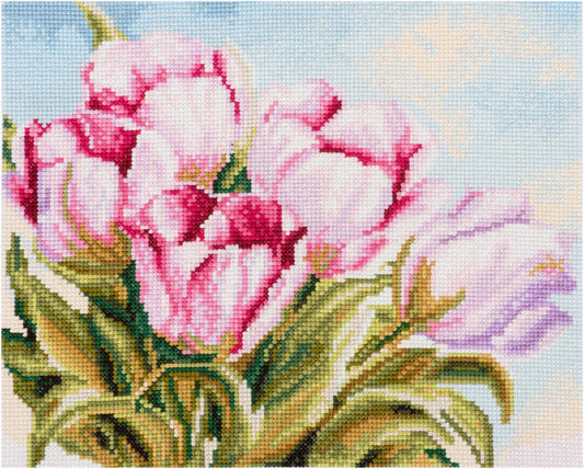 Trimits Counted Cross Stitch Kit Large: Tulip, 36x36cm, Includes Aida Fabric, Pre-Sorted Threads, Needle, Personalizing Alphabet, Instr...