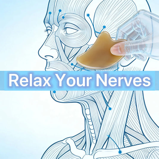 The Still Point - Navigating Your Neural Pathways Miss Maya Shop