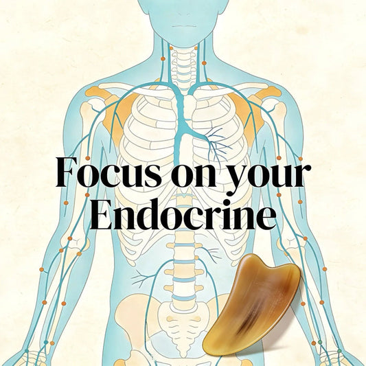 The Inner Conductor - Harmonizing Your Endocrine Landscape Miss Maya Shop