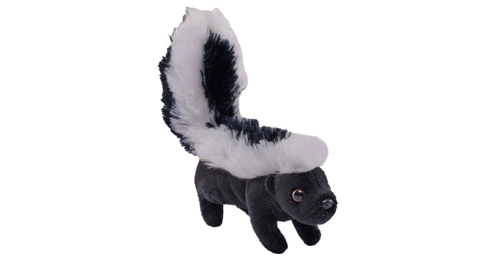 Wild Republic - Pocketkins-ECO-Skunk Stuffed Animal 5"