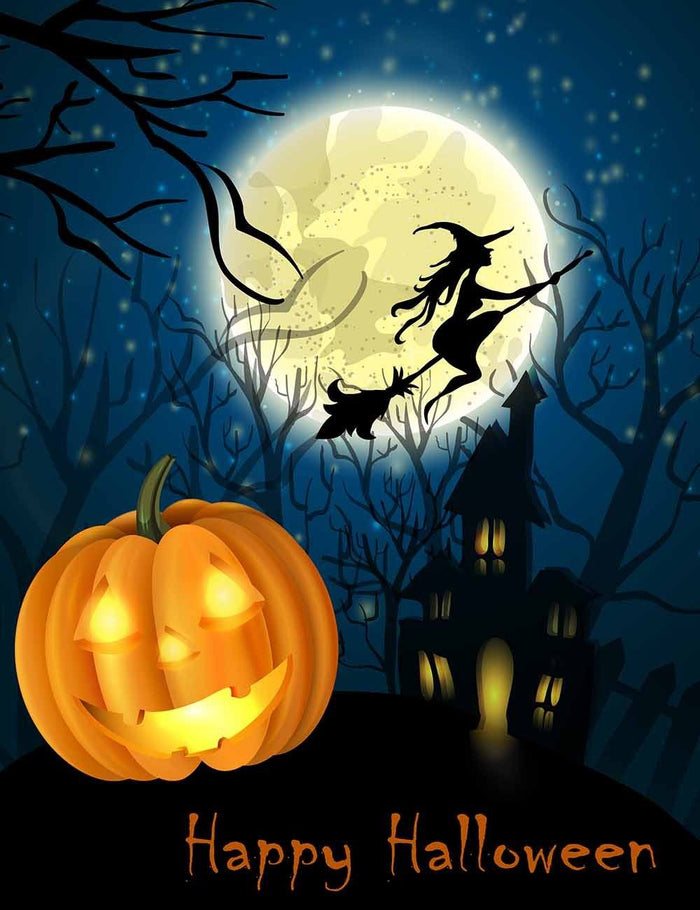 Witch And  Pumpkin In Dark Forest For Halloween Photo Bakcdrop Shopbackdrop